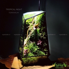 Terrarium 202 - Tropical Night