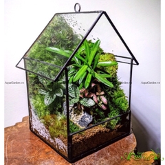 Terrarium 206 - Home land