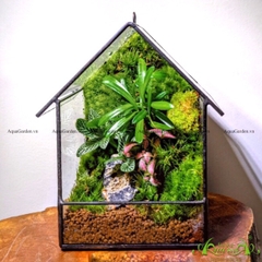 Terrarium 206 - Home land