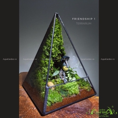 Terrarium 204 - Friendship