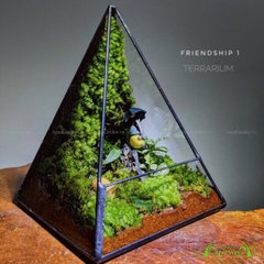 Terrarium 204 - Friendship