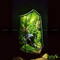 Terrarium 158 - Đồng xanh