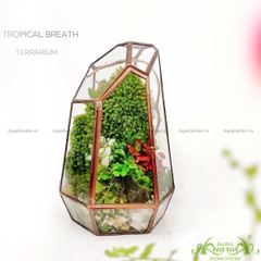 Terrarium 239 - Tropical Breath