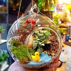 Terrarium 99 - Cottage Dream