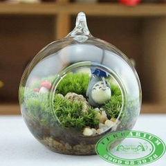 Terrarium 104 - Serenity