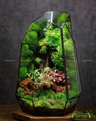 Terrarium 248 - Destiny