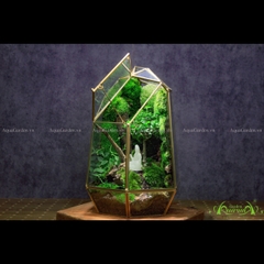 Terrarium 249 - Faith