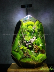 Terrarium 252 - Cottage Dream