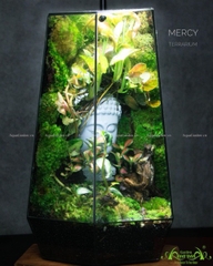 Terrarium 256 - Mercy