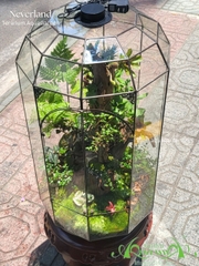 Terrarium 345 - Neveland