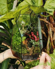 Terrarium 350 - Tiny Green Eden