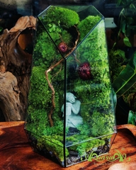 Terrarium 352 - Enlightened Paradise