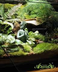 Terrarium 354 - Forest of Enlightenment