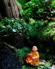 Terrarium 356 - Bridge to Bliss