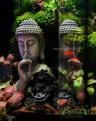 Terrarium 357 - Peaceful Haven
