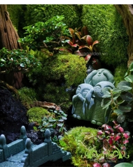 Terrarium 356 - Bridge to Bliss