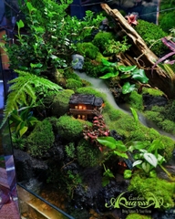 Terrarium 360 - Khu vườn Dưỡng thần
