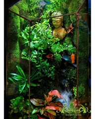 Terrarium 355 - Zen Garden of Peace