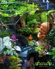 Terrarium 356 - Bridge to Bliss