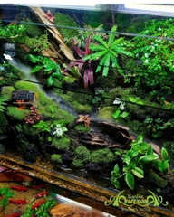Terrarium 360 - Khu vườn Dưỡng thần