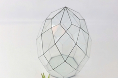 Thủy Tinh 24 - TT Đa Giác