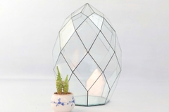 Thủy Tinh 24 - TT Đa Giác