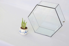 Thủy Tinh 27 - TT Đa Giác
