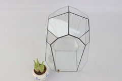 Thủy Tinh 38 - TT Đa Giác