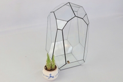 Thủy Tinh 38 - TT Đa Giác