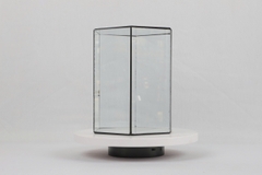 Thủy Tinh 41 - TT Đa Giác