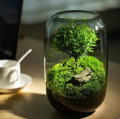 Độc Mộc