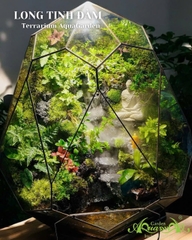 Terrarium 393 - Long Tịnh Đàm - Terrarium thác nước AquaGarden