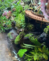 Hồ bán cạn - Thác Tịch Lưu Vân – thác nước rêu phong mây phủ độc bản