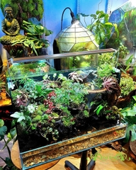 Hồ bán cạn - Thác Tịch Lưu Vân – thác nước rêu phong mây phủ độc bản