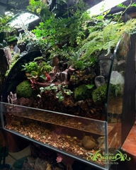 Hồ bán cạn - Tâm Bình An – Mảnh vườn thiền trong không gian sống