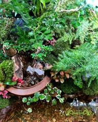 Hồ bán cạn - Tâm Bình An – Mảnh vườn thiền trong không gian sống