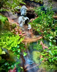 Hồ bán cạn - Tụ Linh Sơn Cảnh – Tiểu cảnh Phật giữa núi rừng an nhiên