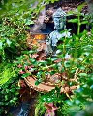 Hồ bán cạn - Tụ Linh Sơn Cảnh – Tiểu cảnh Phật giữa núi rừng an nhiên