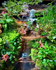 Hồ bán cạn - Tụ Linh Sơn Cảnh – Tiểu cảnh Phật giữa núi rừng an nhiên