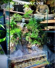 Hồ bán cạn - Tụ Linh Sơn Cảnh – Tiểu cảnh Phật giữa núi rừng an nhiên