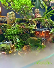 Hồ bán cạn - Zenlight Valley – phong cách thiền với ánh sáng Zen huyền ảo