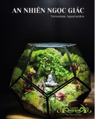 Terrarium 394 - An nhiên Ngọc giác