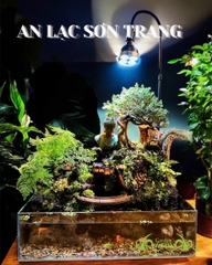 Hồ bán cạn - An Lạc Sơn Trang – hồ mang đến góc an yên giữa lòng phố thị | AquaGarden