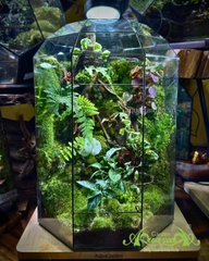Terrarium 395 - Mộc Uyên