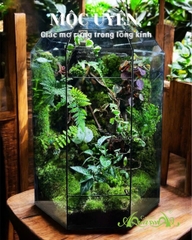 Terrarium 395 - Mộc Uyên