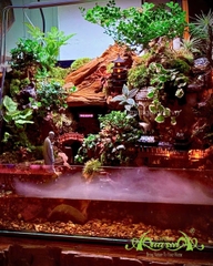 Hồ bán cạn - Thiền Vân Cổ Tự – Tiểu cảnh hồ bán cạn tĩnh tại giữa mây khói