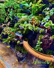 Hồ bán cạn - Hồ thiêng vân ảnh - Hồ bán cạn nghệ thuật