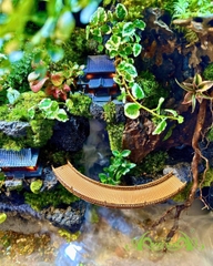 Hồ bán cạn - Hồ thiêng vân ảnh - Hồ bán cạn nghệ thuật