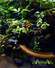 Hồ bán cạn - Hồ thiêng vân ảnh - Hồ bán cạn nghệ thuật