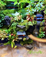 Hồ bán cạn - Hồ thiêng vân ảnh - Hồ bán cạn nghệ thuật